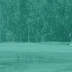 Grand Pines Golf Course
