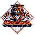 Mississauga North Baseball Association Inc