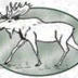 White Moose Resort