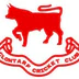 Clontarf Cricket Club