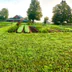 Elements Farm Box CSA Membership