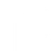 DP Boxing
