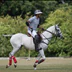 Fifield Polo Club