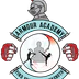 Armour Academy