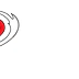 Force strength & conditioning