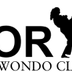 Koryo taekwondo club Gex