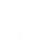 Evolve Strength