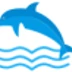 Dolphin Swim School