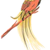 Ankh'Ka Yoga