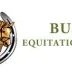 Horse riding sessions in Glasgow