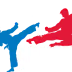 Action Tae Kwon-Do