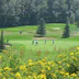 Maple Ridge Men's Golf Club