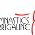 Gymnastics Inc.