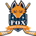 Fox School of Hockey