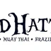 Chichester Mad Hatters Brazilian Jiu Jitsu and MMA