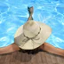 DESJOYAUX LOISIRS PISCINES NATURE CONCESS. EXCLUSIF SARL