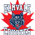 Elmvale Minor Hockey