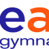 Adult Gymnastics Classes
