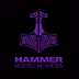 Hammer Boxing Academy