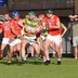 Blackrock National Hurling Club