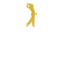 Designer Golf Ltd