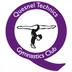 Quesnel Technics Gymnastics Club