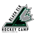 P3 Sports Inc.