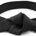 Bridgwater Bushi Karate Club