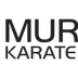 Murphy's Karate Academy