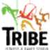 TRIBE Fitness and Dance Studio