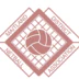 Maitland Netball