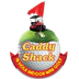 CaddyShack 18 hole indoor Mini Golf