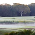 Gainsborough Greens Golf Course