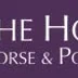 Children's Riding Lessons