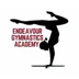 Endeavour Gymnastics Academy