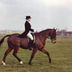 High House Farm Equestrian Services