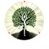 Tree of Life Yoga