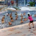 Espace Aquatique Atlantis - Piscine à Albi