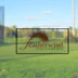 Duffer's Golf Centre