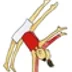 Bristol School of Gymnastics