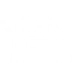 KICK NATION TAEKWONDO