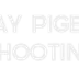 TNEOPC - Clay Pigeon Shooting, Archery & Paintball nr Newcastle, Durham & Sunderland