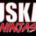 USKA kickboxing