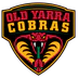 Yarra Old Grammarians Football Club