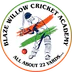 Blaze Willow Cricket Academy