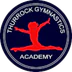 Thurrock Gymnastics Academy