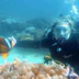Subsurface Scuba
