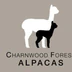 The Riding School at Charnwood Forest Alpacas