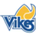 28th Annual Vikes Golf Classic
