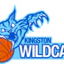 Kingston Wildcats